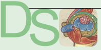 Logo of digital scriptorium page on Bancroft Library website.